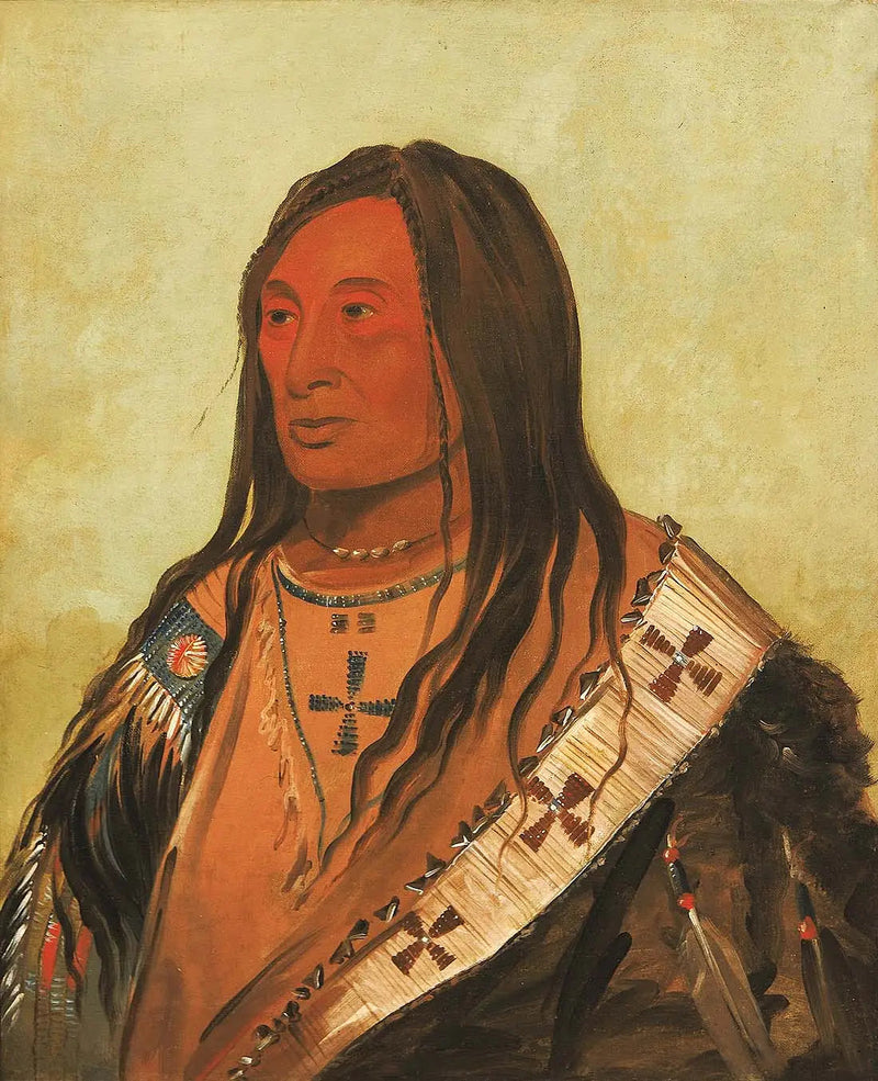 Táh-zee-keh-dá-cha, Ventre déchiré, un brave distingué - جورج كاتلين