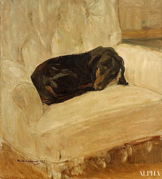 Teckel endormi dans un fauteuil - Max Liebermann - Reproductions de tableaux et peintures haut de gamme