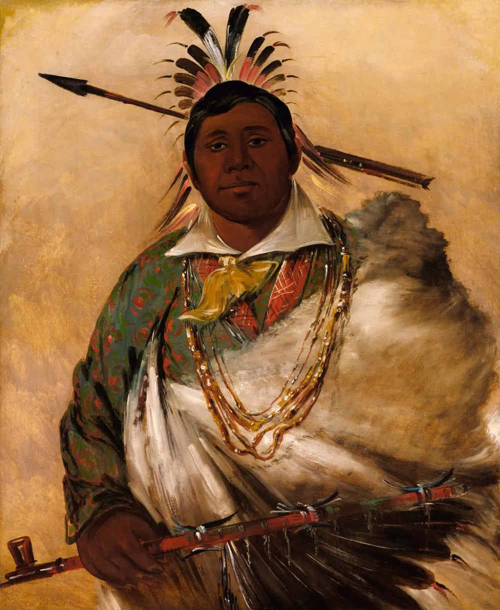 Téh-ke-néh-kee, manteau noir, un chef - George Catlin image 1 reproduction de peinture à l’huile