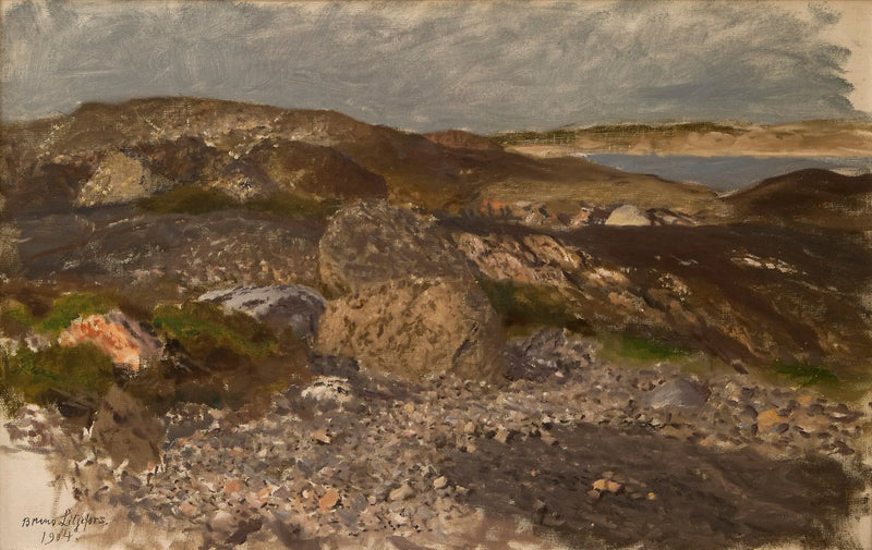Terrain rocailleux - Bruno Liljefors