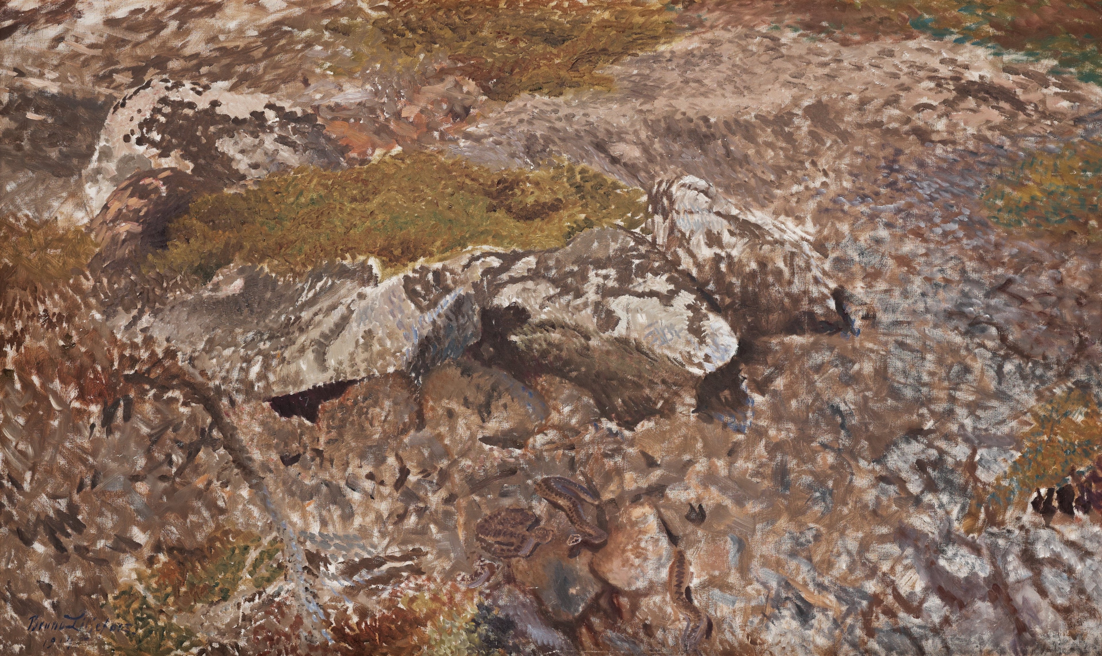 Terrain serpentin - Bruno Liljefors