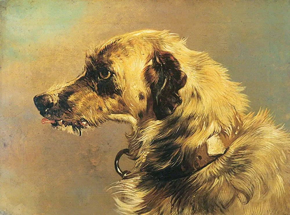 Tête d’un chien courant - Edwin Henry Landseer - Alpha Reproduction