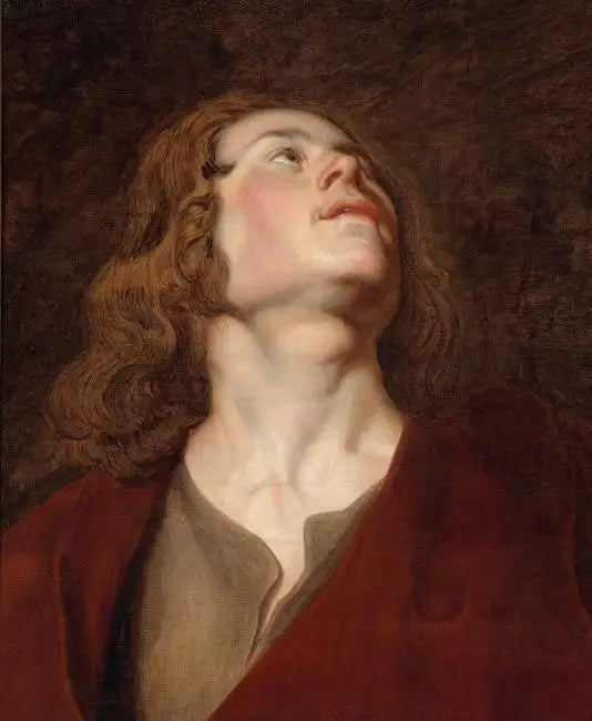 Tête de Saint Jean - Peter Paul Rubens - Alpha Reproduction