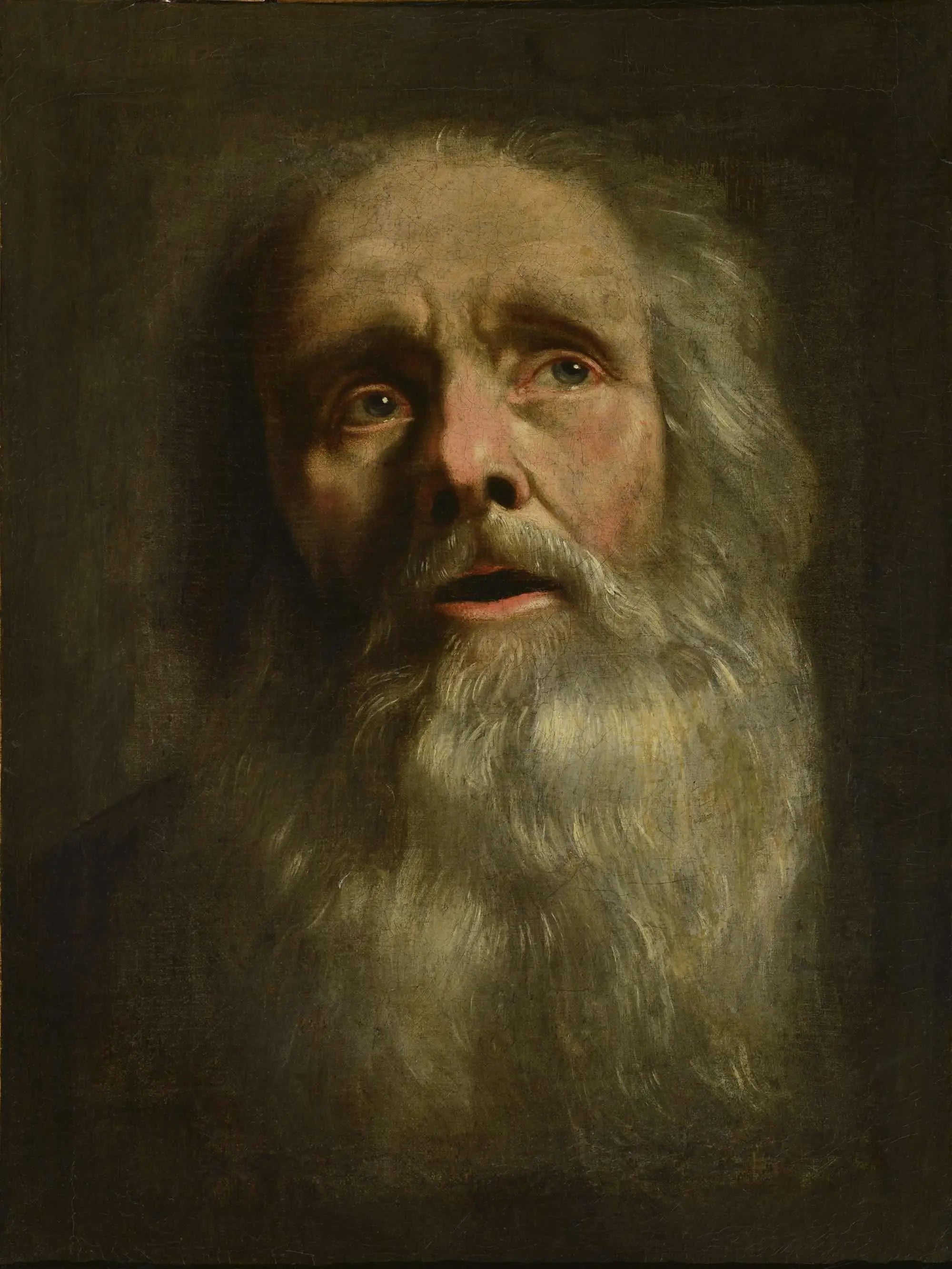 Tête de vieillard - Philippe de Champaigne - Alpha Reproduction