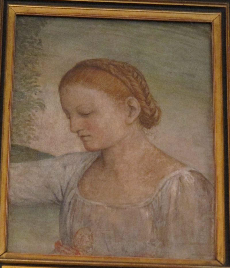 رأس فتاة - برناردينو لوييني