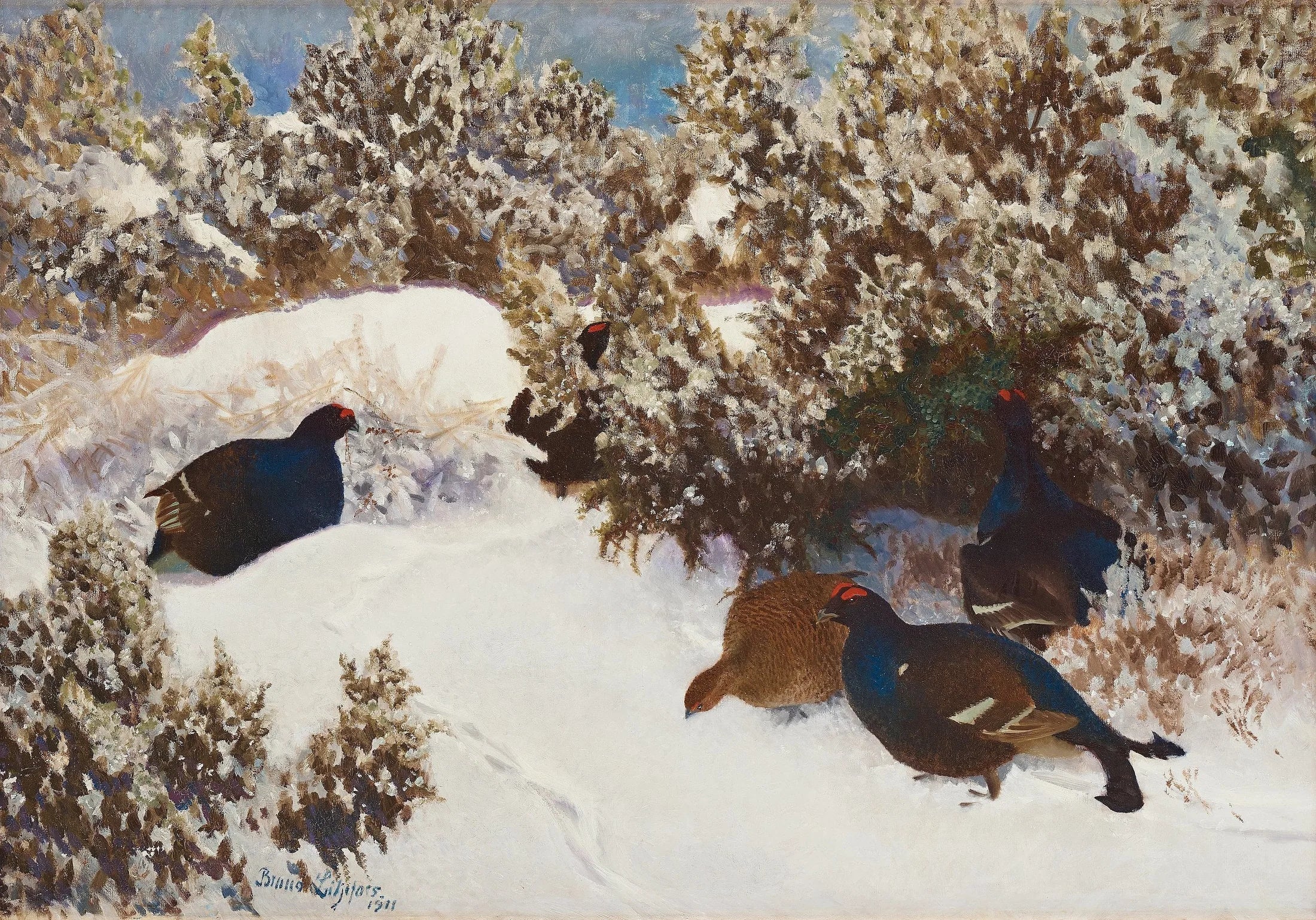 Tétras lyre dans un paysage hivernal - Bruno Liljefors