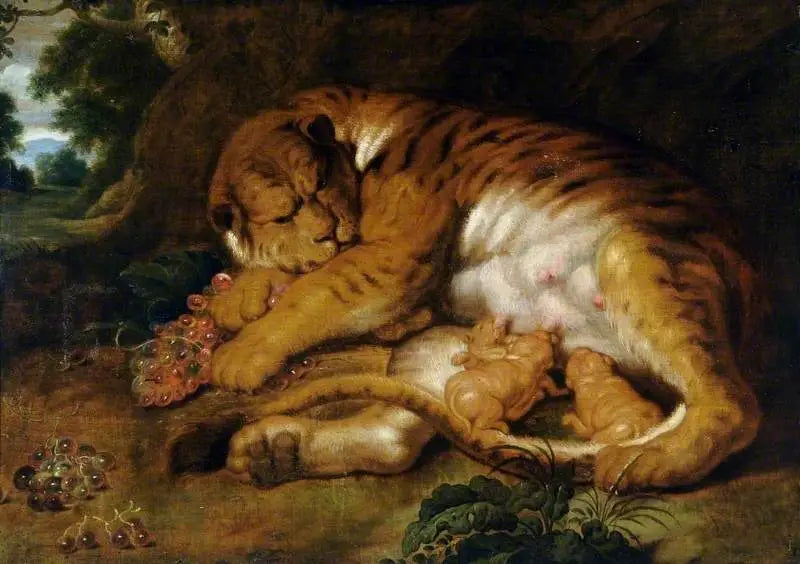 Tigresse avec ses petits - Peter Paul Rubens - Alpha Reproduction