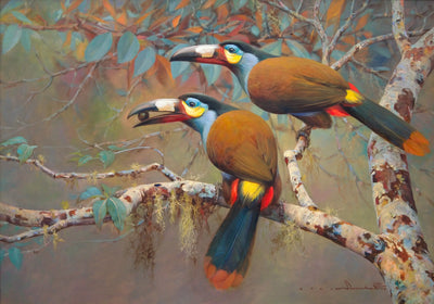 Mountain Toucan – Somchai | 60 x 90 cm Reproductions de tableaux à la peinture à l’huile