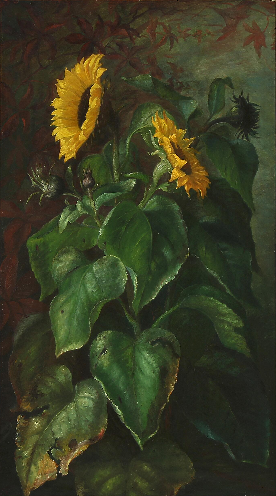 Tournesols – Alfrida Baadsgaard