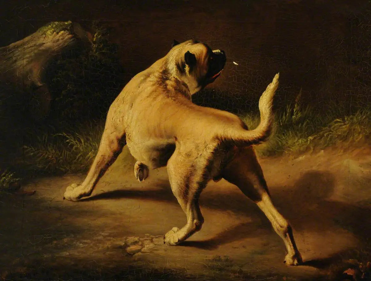 Un chien en alerte - Edwin Henry Landseer - Alpha Reproduction