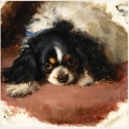 Un épagneul King Charles - Edwin Henry Landseer image 1 copie peinte à la main à l’huile