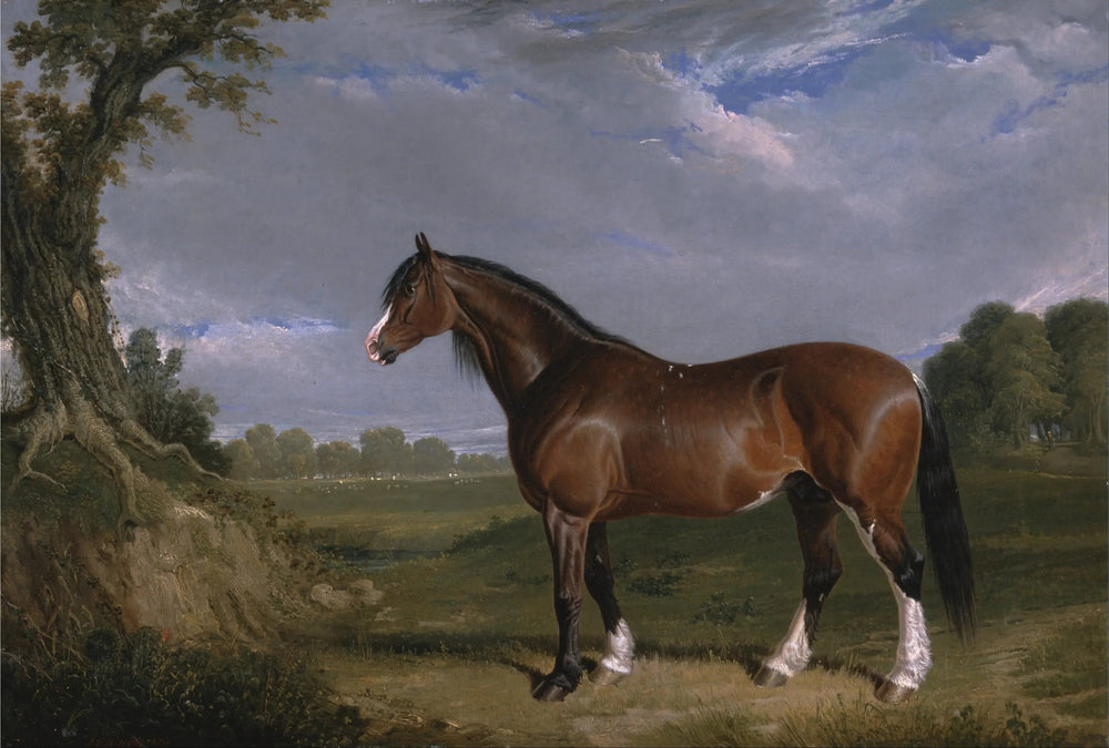 Un étalon Clydesdale - John Frederick Herring Sr. - Alpha Reproduction