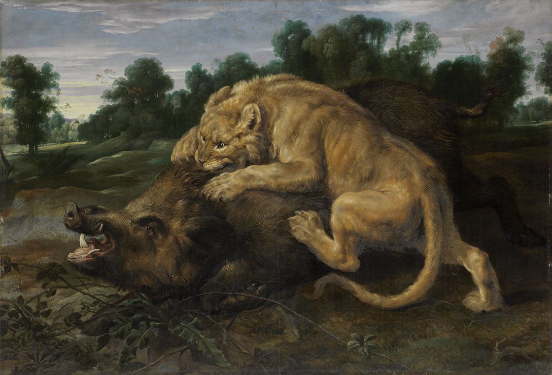 Un lion tuant un sanglier - Frans Snyders image 1 copie peinte à la main à l’huile