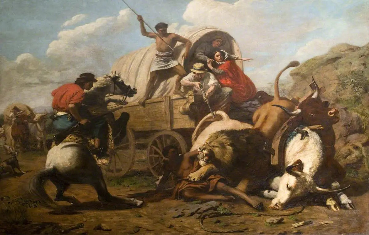 Un train de bœufs attaqué par un lion - Edwin Henry Landseer - Alpha Reproduction