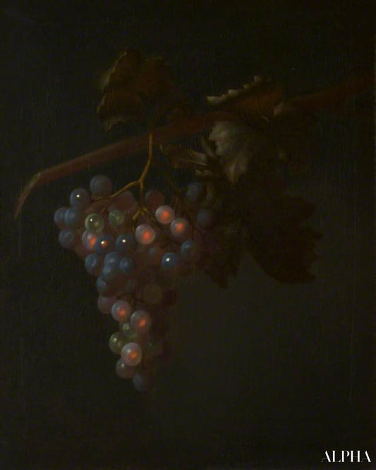 Une grappe de raisin - Tobias Stranover - Reproductions de tableaux et peintures haut de gamme