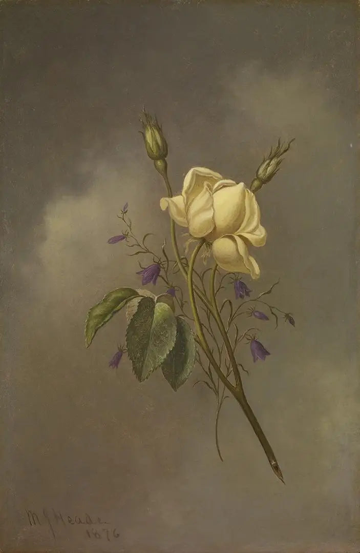Une rose jaune contre un ciel nuageux - Martin Johnson Heade - Alpha Reproduction