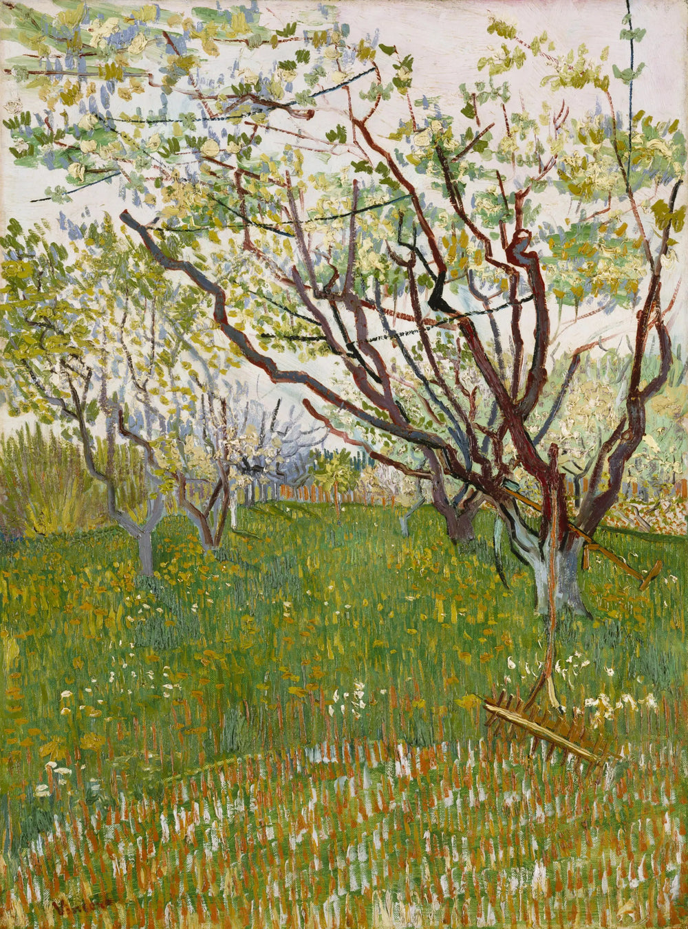 Verger en fleur - Vincent van Gogh image 1 reproduction de peinture à l’huile