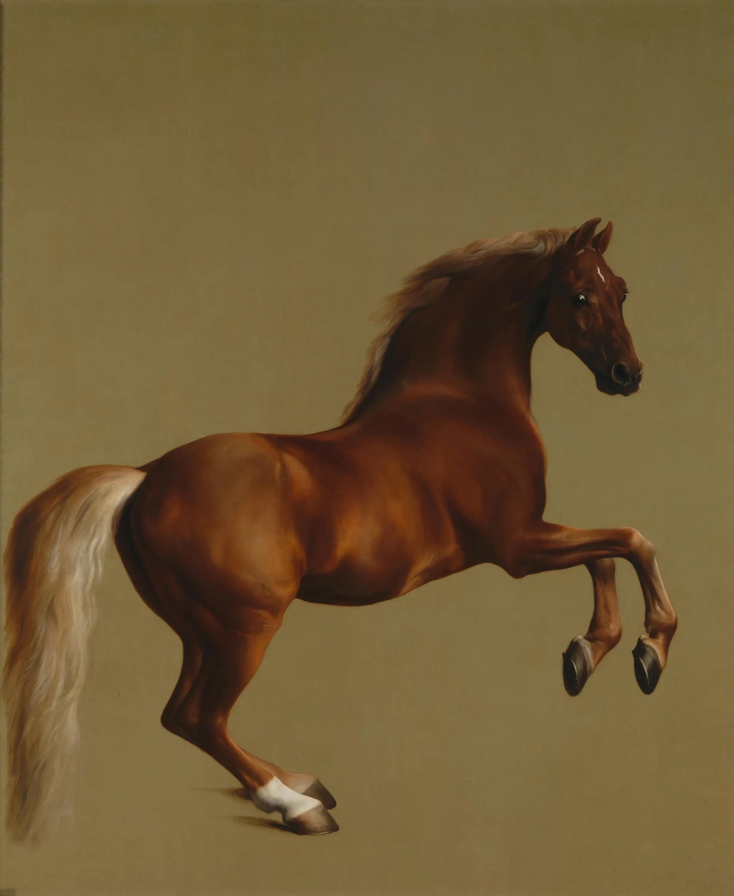 Veste sifflante - George Stubbs - Alpha Reproduction