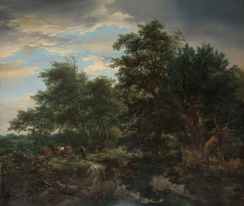 Vue sur la forêt - Jacob van Ruisdael