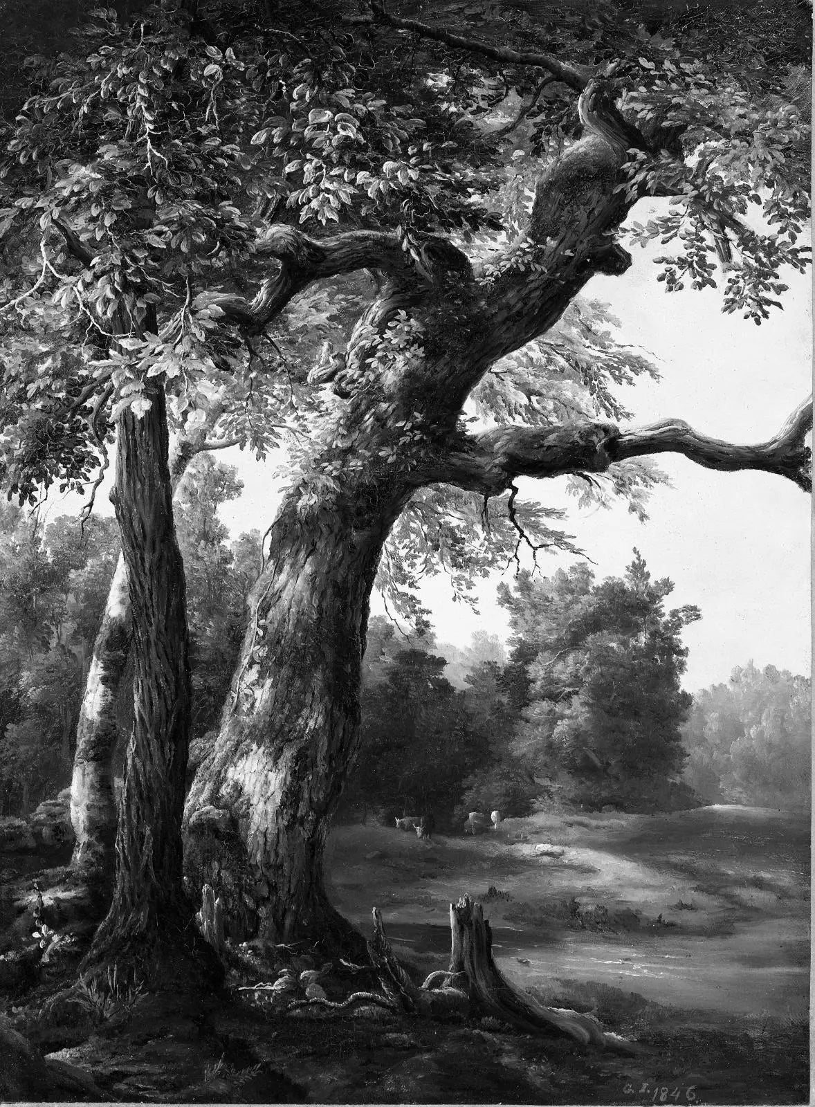 Vue sur la forêt - George Inness - Alpha Reproduction